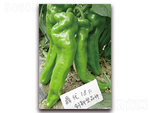 ����(y��u)18-�����N��-����(y��u)�r�I(y��)