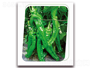 ���e7̖-�����N��-����(y��u)�r�I(y��)