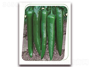 ���F119-�����N��-����(y��u)�r�I(y��)