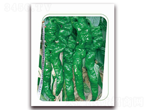 ����һ̖-�����N��-����(y��u)�r�I(y��)