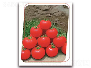 �±�-���ѷN��-����(y��u)�r(n��ng)�I(y��)