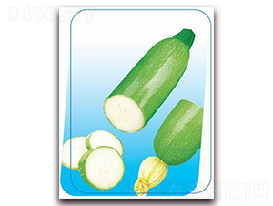 ����-�����J�N��-����(y��u)�r�I(y��)