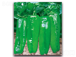 ����(y��u)8̖-�����N��-����(y��u)�r�I(y��)