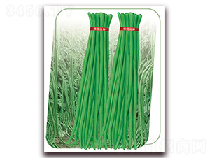 ����3̖(h��o)-�����N��-����(y��u)�r(n��ng)�I(y��)