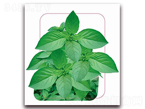 �փ�(y��u)���~�G��-�~�˷N��-����(y��u)�r(n��ng)�I(y��)