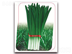 �־�9̖-�~�˷N��-����(y��u)�r(n��ng)�I(y��)