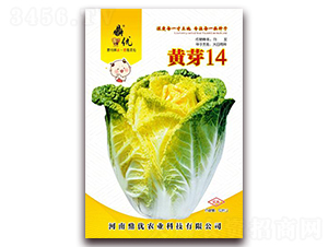 �Sѿ14-�~�˷N��-����(y��u)�r(n��ng)�I(y��)