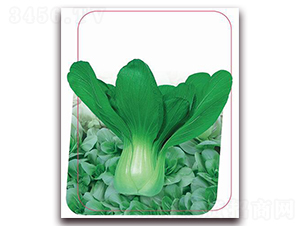 ���ھG��-�~�˷N��-����(y��u)�r(n��ng)�I(y��)