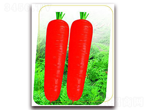 ���t�˴�-���}���N��-����(y��u)�r(n��ng)�I(y��)