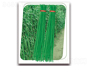 ����9̖-�����N��-����(y��u)�r(n��ng)�I(y��)