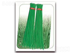 ����8̖-�����N��-����(y��u)�r(n��ng)�I(y��)