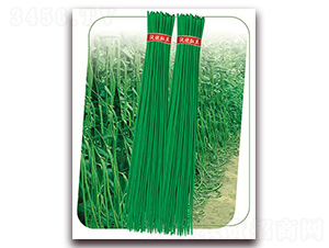 ����7̖-�����N��-����(y��u)�r(n��ng)�I(y��)