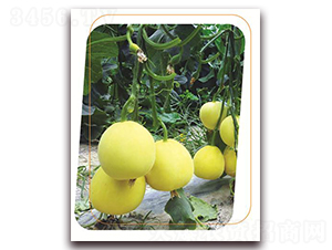 ����20-��ϷN��-����(y��u)�r(n��ng)�I(y��)