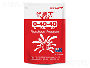 ���׸�⛷�-��(y��u)���K-��T����