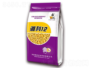 濉科12-大豆種子-鼎優(yōu)農業(yè)