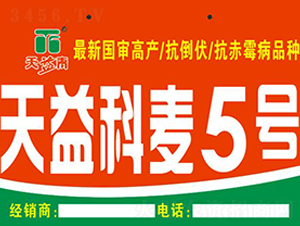 �������5̖-С���N��-�A��