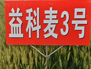 �����3̖-С���N��-�A��