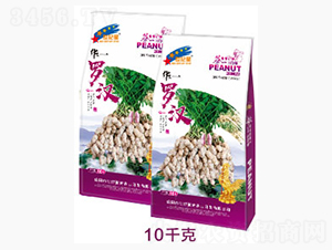 �Aһ�_�h-�����N��-���o(j��)���r(n��ng)