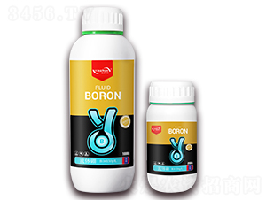 ���w��-ӯ��(r��n)�r(n��ng)�I(y��)