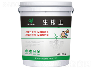 �����ͷ���-������-ԥ���S