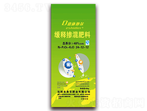 ��ጓ������24-12-12-��ʩ�ؠ�-���S�ʘI(y��)