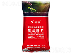 �ЙC(j��)���S�����(f��)�Ϸ���16-16-16-���