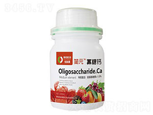 �����}-��(ji��n)Ԫ��ƿ��-������