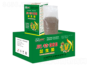 ������-����360-���ؠ�