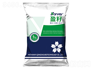 ӯ��-�����f