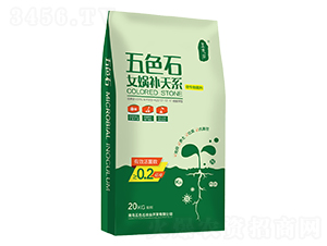 Ů?hu��)z�a(b��)��ϵ΢�������-��ɫʯ