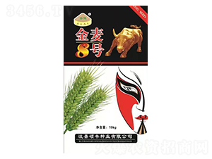 ����8̖-С���N��-�T�S