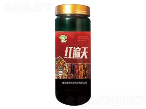 �t����-�Z���-�WȻ�r(n��ng)�I(y��)