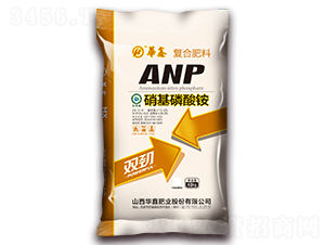 ���������@29-5-0-�A�ηʘI(y��)