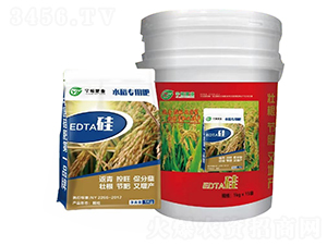 水稻專用EDTA硅-宇恒肥業(yè)
