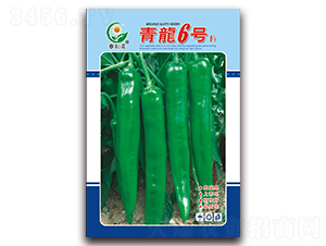 ����6̖-�ཷ�N��-ӳɽ��