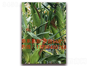 ����668-ˮ�����׷N��-ӳɽ��