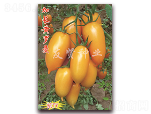 ���L(zh��ng)�S�_��-���͹����ѷN��-���t�N�I(y��)