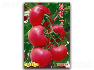 ����һ̖(h��o)-��ɫ���ѷN��-���t�N�I(y��)