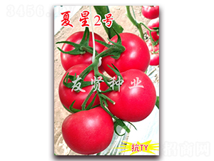 ����2̖(h��o)-��ɫ���ѷN��-���t�N�I(y��)