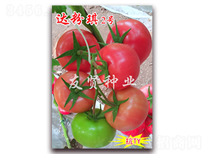 �_(d��)����2̖(h��o)-��ɫ���ѷN��-���t�N�I(y��)