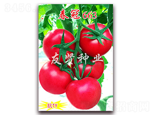 ����663-��ɫ���ѷN��-���t�N�I(y��)