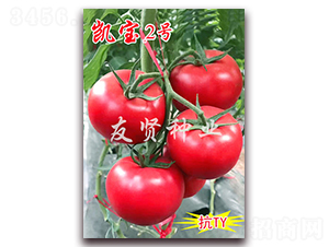 �P��2̖(h��o)-��ɫ���ѷN��-���t�N�I(y��)