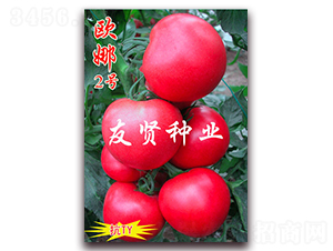 �W��2̖(h��o)-��ɫ���ѷN��-���t�N�I(y��)