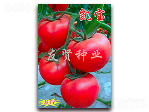 �P��-��ɫ���ѷN��-���t�N�I(y��)