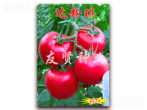 �_(d��)����-��ɫ���ѷN��-���t�N�I(y��)