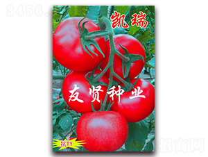 �P��-��ɫ���ѷN��-���t�N�I(y��)