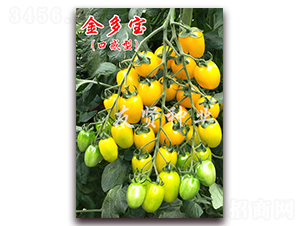 �����-�Sɫ����С���ѷN��-���t�N�I(y��)