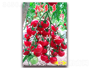 �۶��-��TY��������С���ѷN��-���t�N�I(y��)