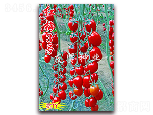 �t÷3̖(h��o)-��TY��������С���ѷN��-���t�N�I(y��)