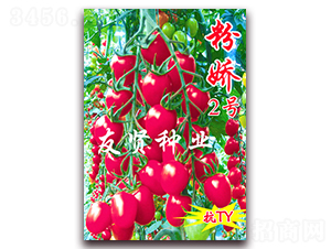 �ۋ�2̖(h��o)-��TY��������С���ѷN��-���t�N�I(y��)